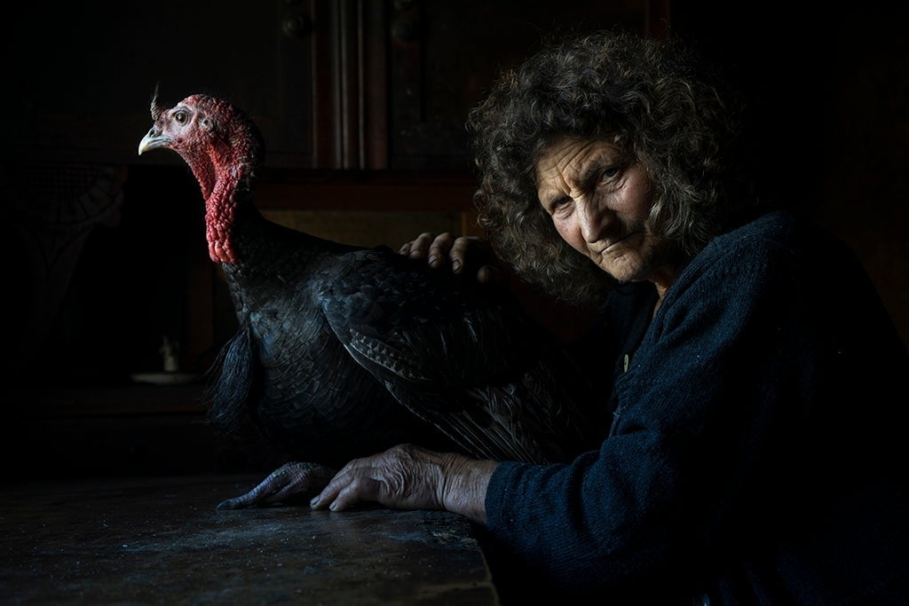 This looks like Renaissance art.