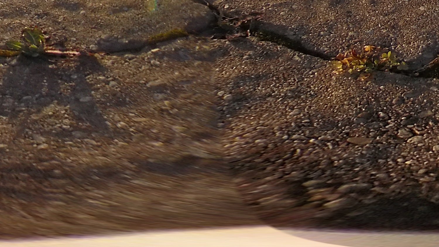 The automated stitching isn’t perfect, and it’s not hard to find the seams between the lenses in images.