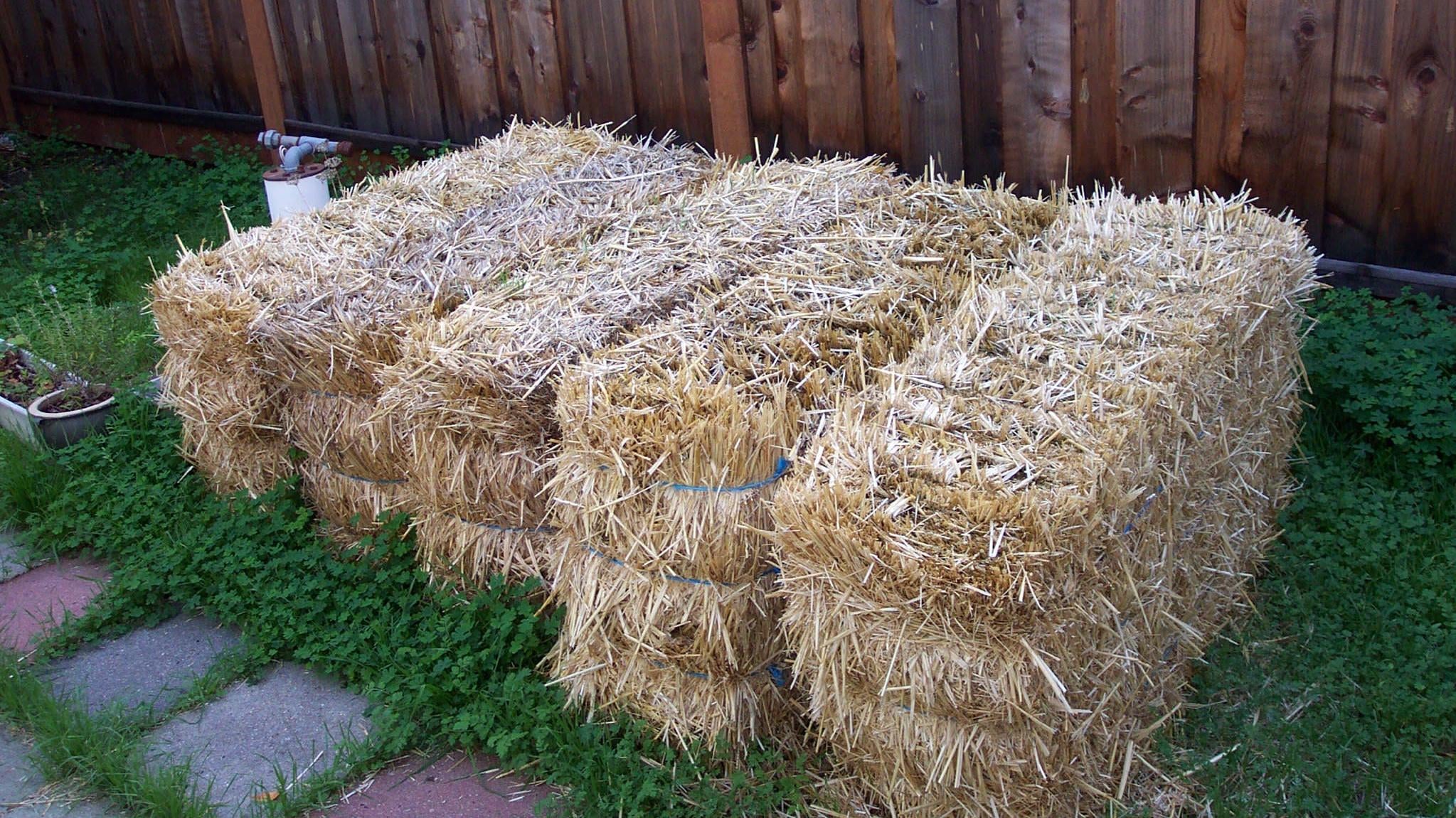 Photo: Flickr/Ruth Temple (CC BY)