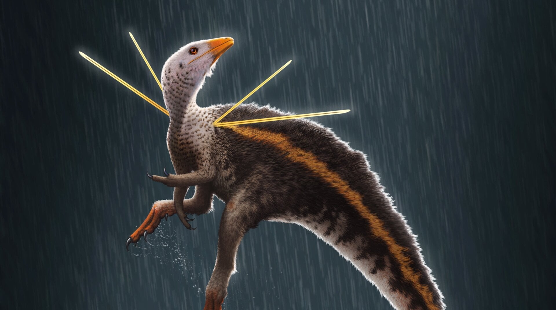 Artist’s impression of Ubirajara jubatus.