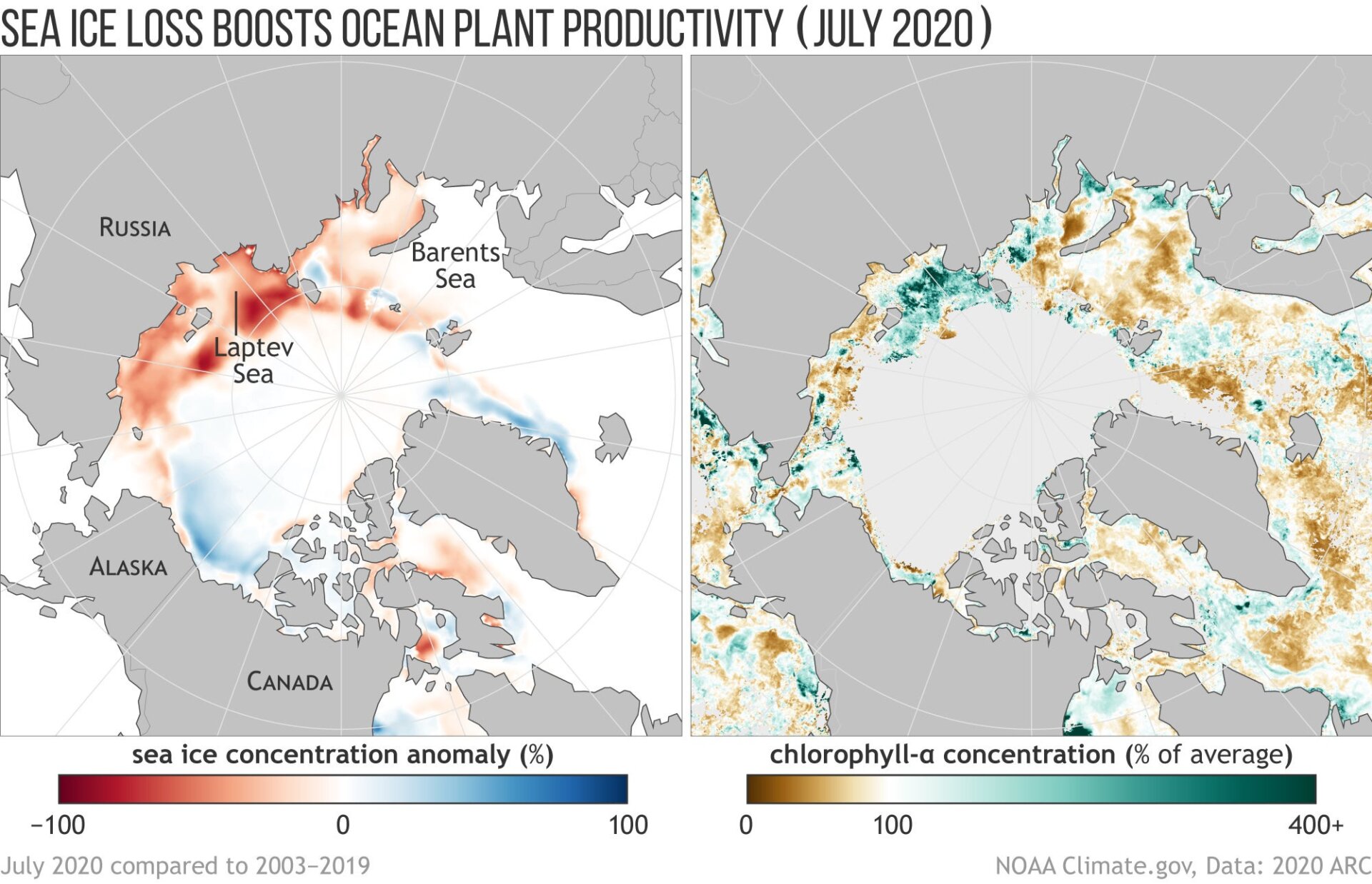(left) Sea ice concentration in July 2020 compared to the 2003–2019 average. Red areas had up to 100% less than their average sea ice, while blue regions had up to 100% more ice than average. (right) Chlorophyll amounts—an indicator of ocean plant productivity—in July 2020 as a percent of the 2003–2019 average. 