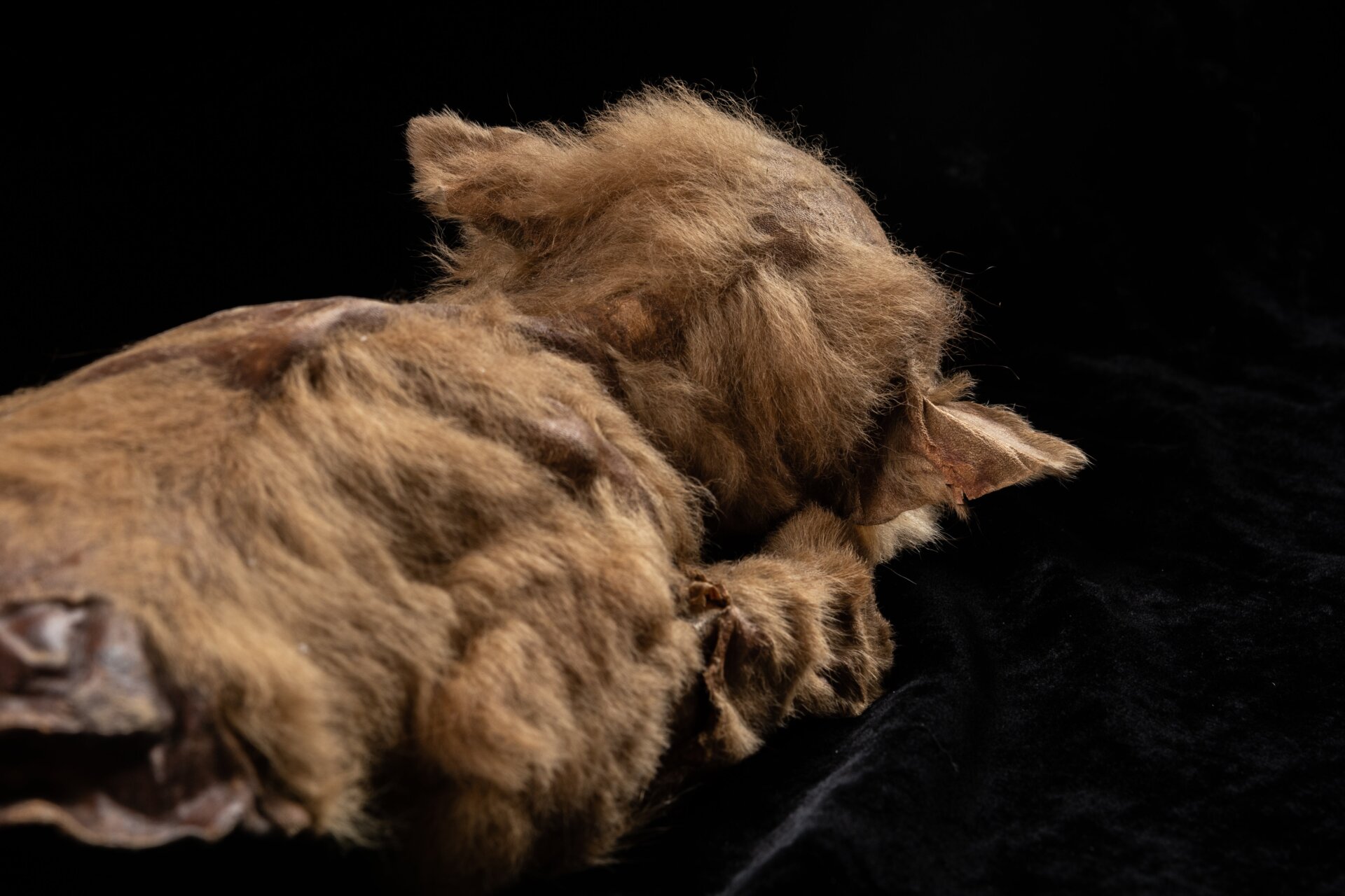 Zhùr seen from behind