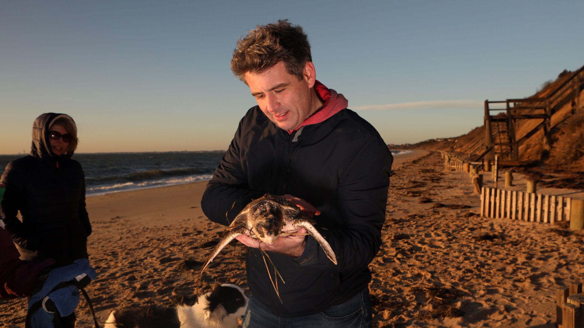 Richard Lammert holds a cold-stunned Kemp’s ridley sea turtle rescued off of Great Hallow beach in Cape Cod on Dec. 3, 2020. 