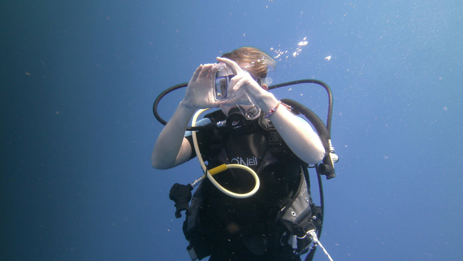 Lucky yet? These critters are tiny!