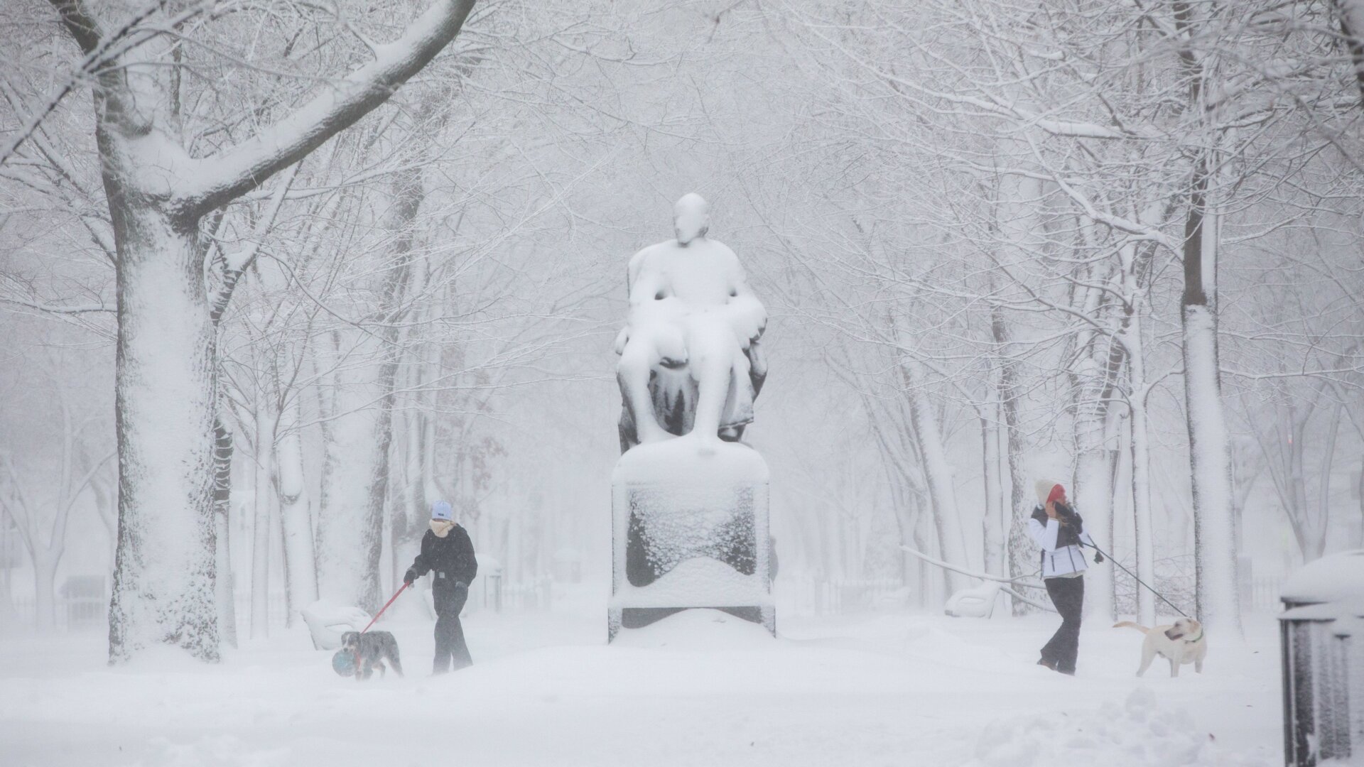 People walk their dogs on the snow-blanketed Commonwealth Mall on Dec, 17, 2020 in Boston.