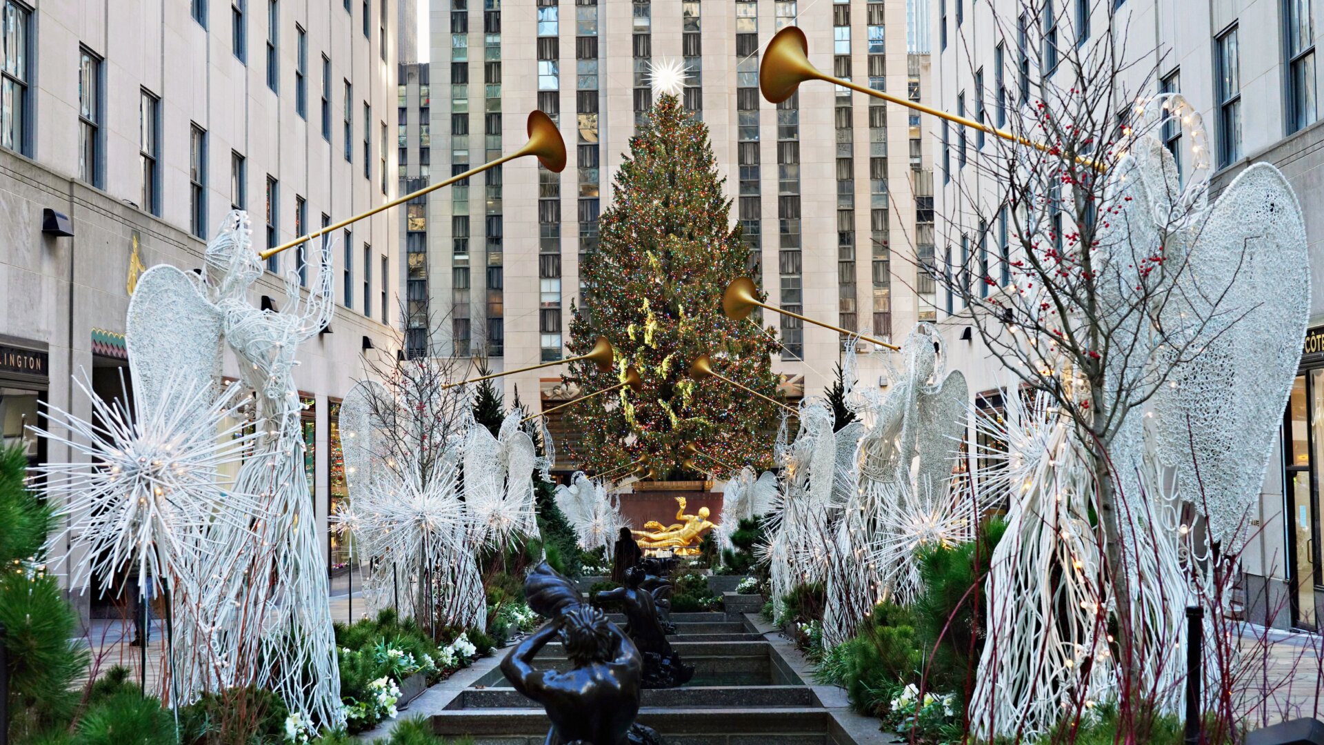 The Rockefeller Center tree, a symbol of the season.