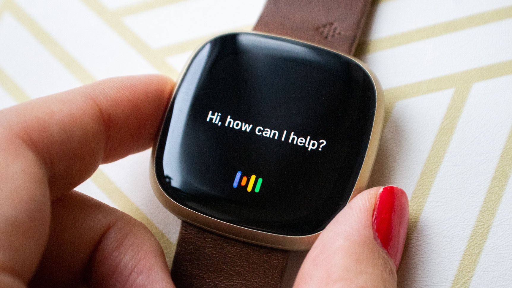 Photo: Victoria Song/Gizmodo