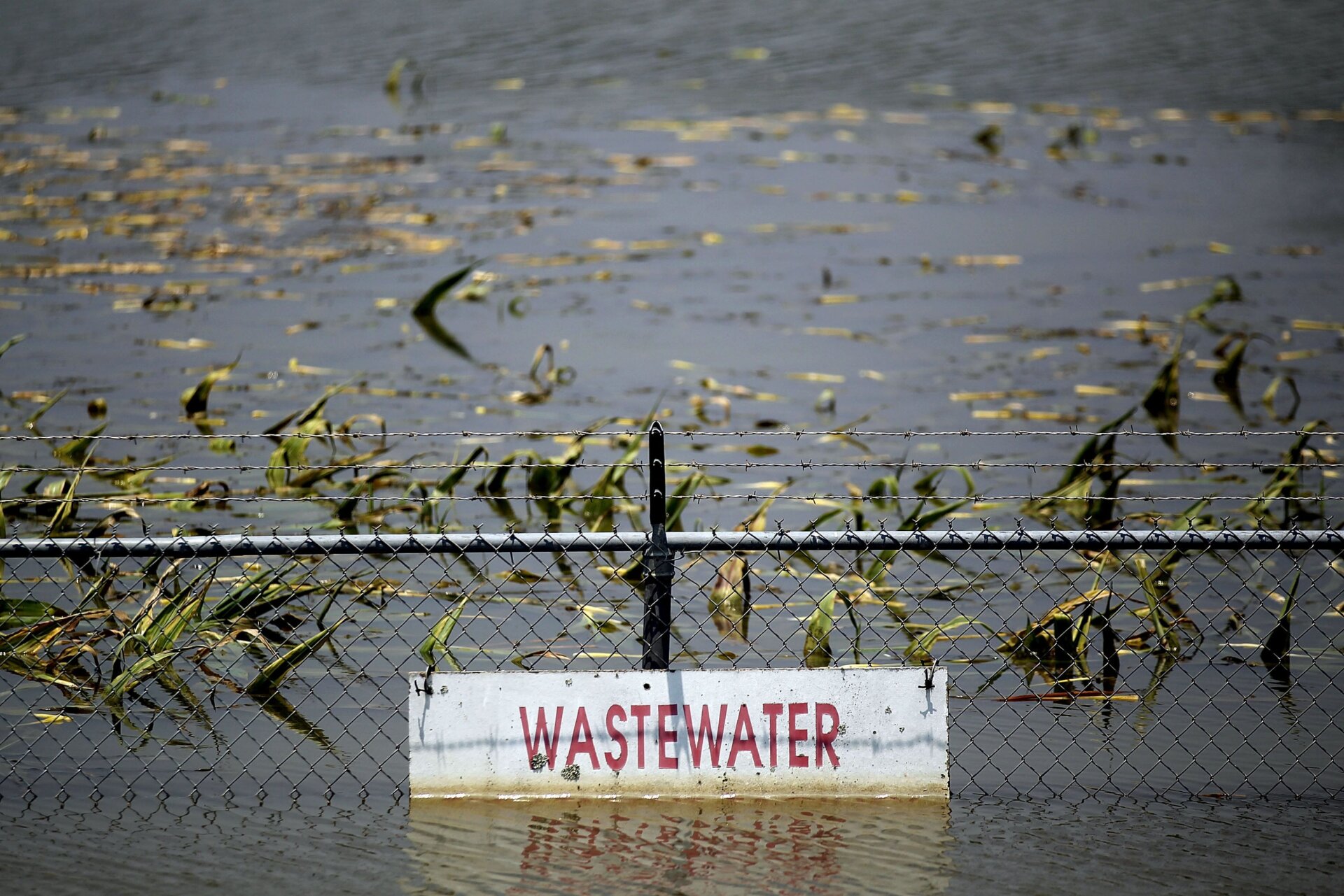 A wastewater treatment plant is inundated by the Yazoo River floodwaters near Yazoo City May 22, 2011 in Yazoo County, Mississippi. Heavy rains have left the ground saturated, rivers swollen, and have caused widespread flooding in Louisiana, Mississippi, Missouri, Illinois, Kentucky, Tennessee, and Arkansas.