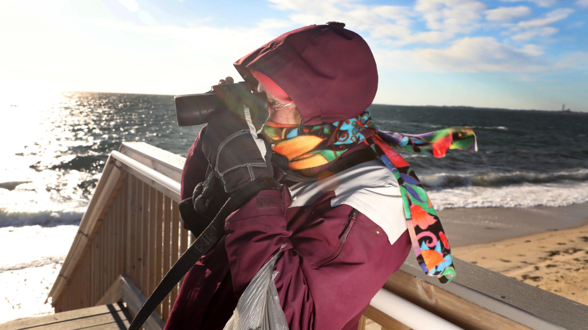 Nancy Braun from Truro looks through binoculars at Noons Landing on Cape Cod as she searches for endangered sea turtles washed up on shore and cold-stunned on December 3, 2020.