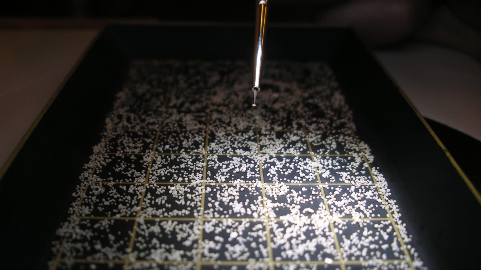 A picking tray. Researchers put their forams on picking trays and pick up individual specimens with a very fine wet brush.