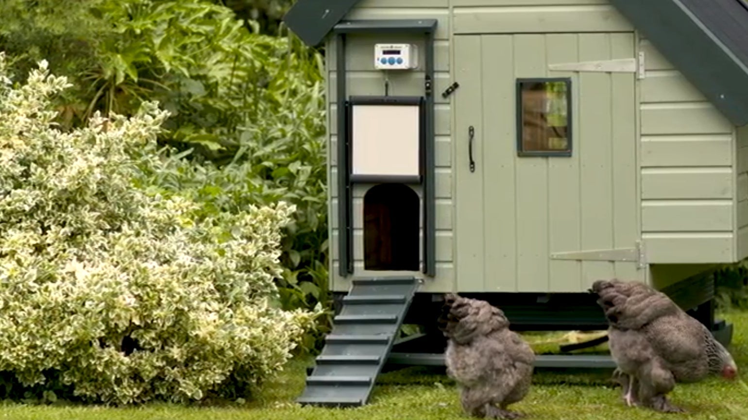 Screenshot: YouTube/ChickenGuard