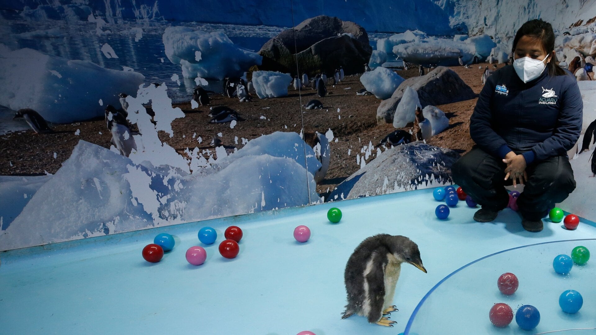 Alex’s parents are named Beto and Mary.