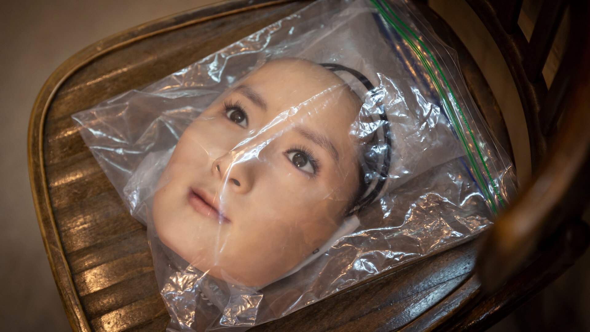 Photo: Yuichi Yamazaki