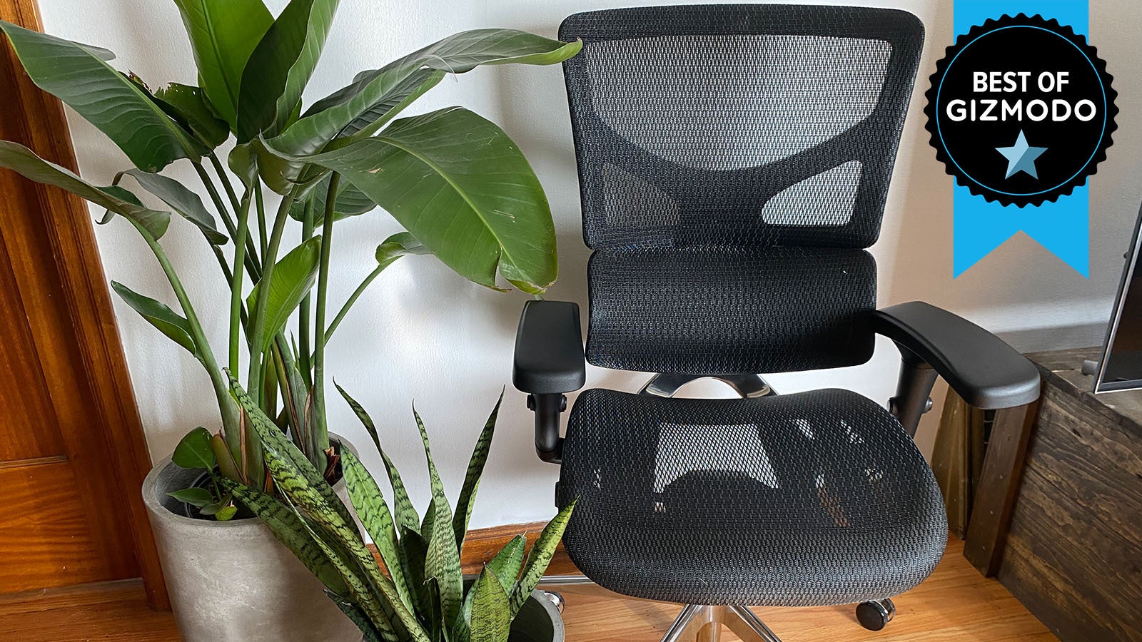 Photo: Catie Keck/Gizmodo