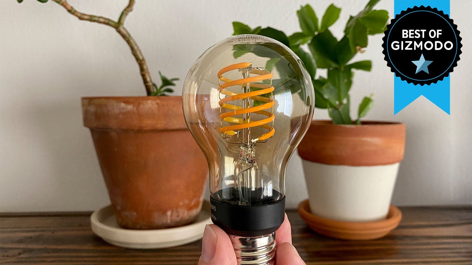 Photo: Catie Keck/Gizmodo