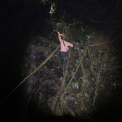 So you want to be a field biologist? Brunner climbed a rock face to record video of the glass frog making its sexy moves. 