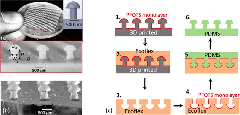 Image: Biointerphases