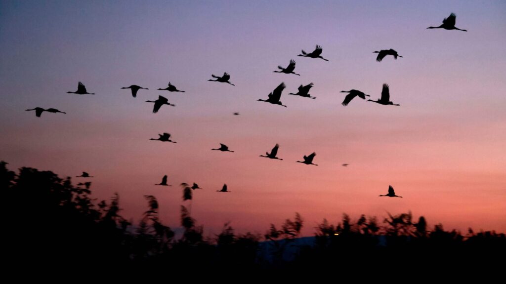 Photo: MENAHEM KAHANA