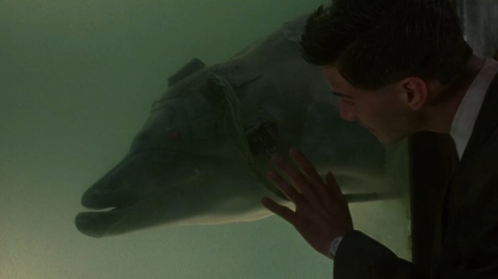 Screenshot: Alliance Communications