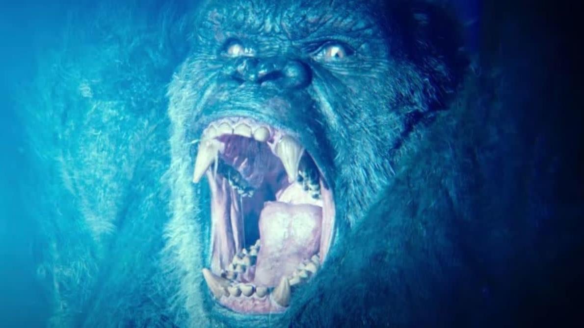 Samesies, Kong. Samesies.