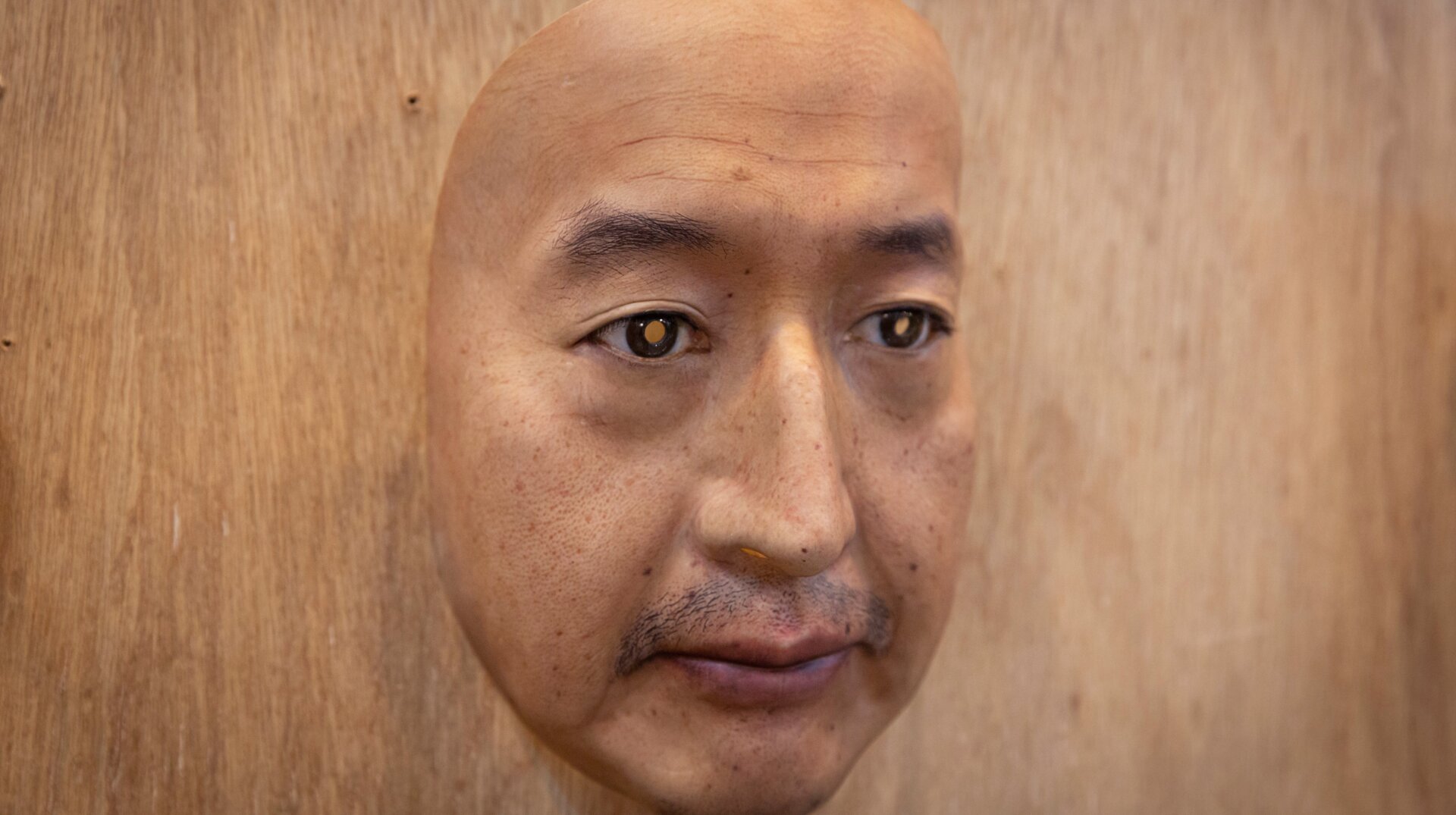 Photo: Yuichi Yamazaki