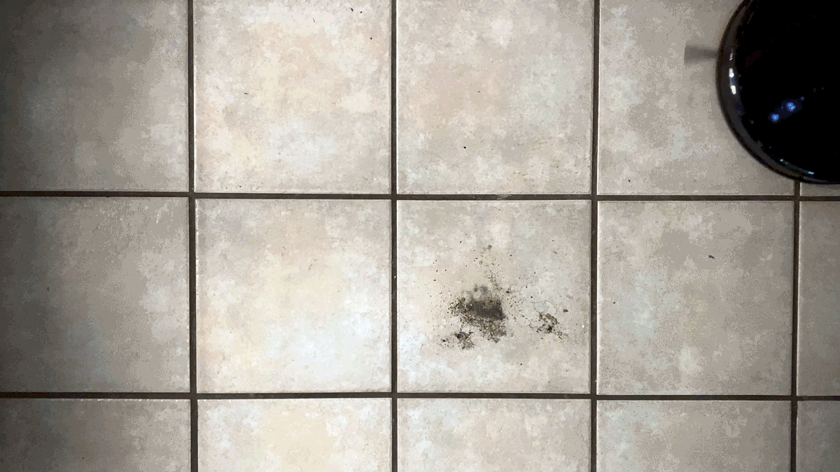 Gif: Wes Davis/Gizmodo