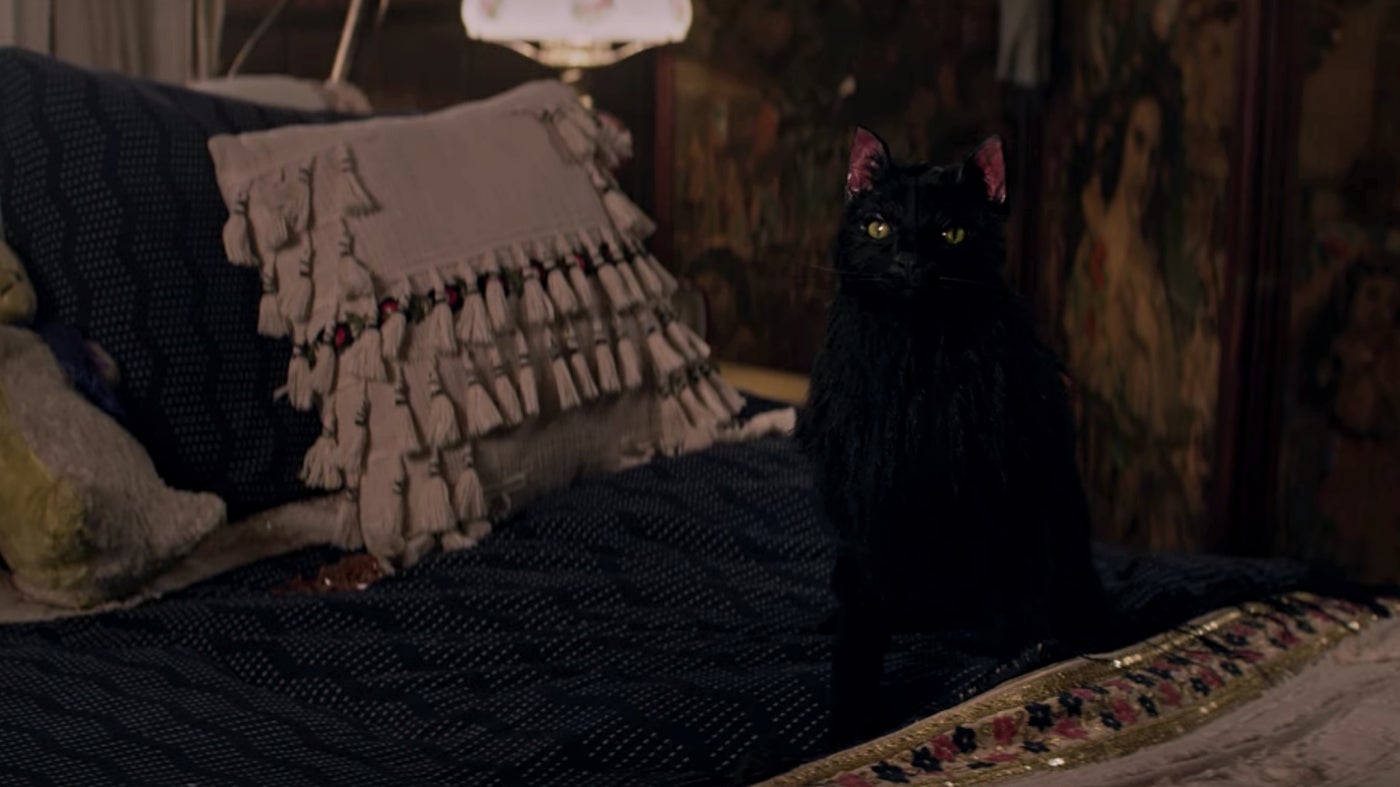 How I’ve missed you, puppet Salem. 