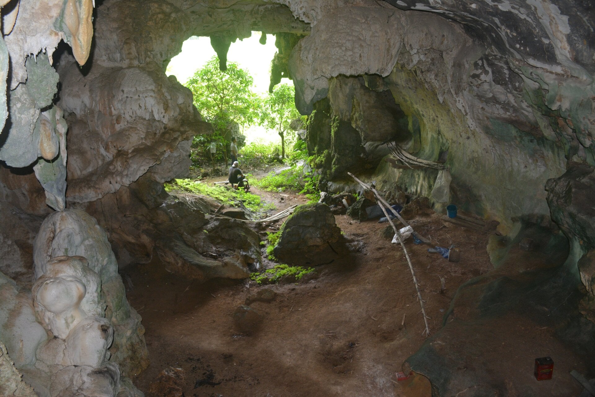 The entrance to Leang Tedongnge cave.