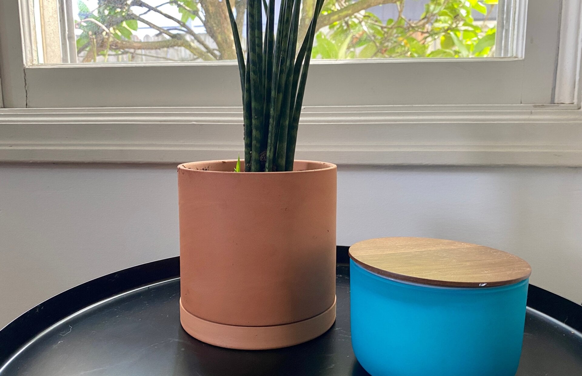 Photo: Catie Keck/Gizmodo