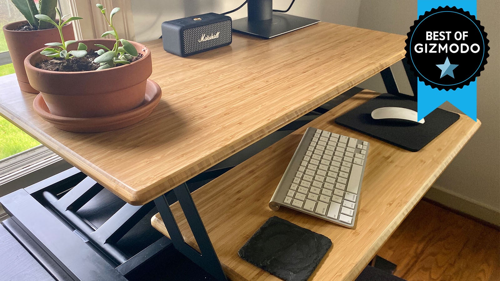 Photo: Catie Keck/Gizmodo