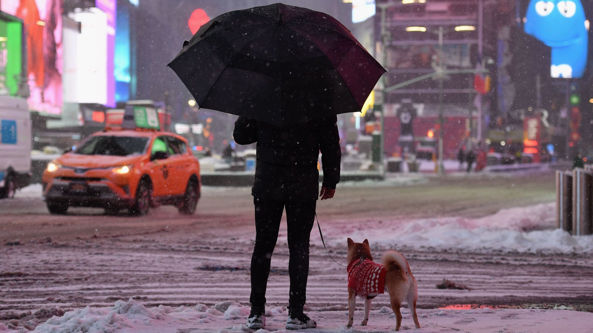 Photo: Angela Weiss/AFP