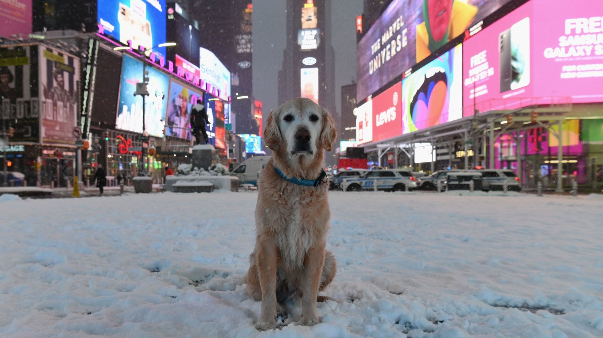 Photo: Angela Weiss/AFP