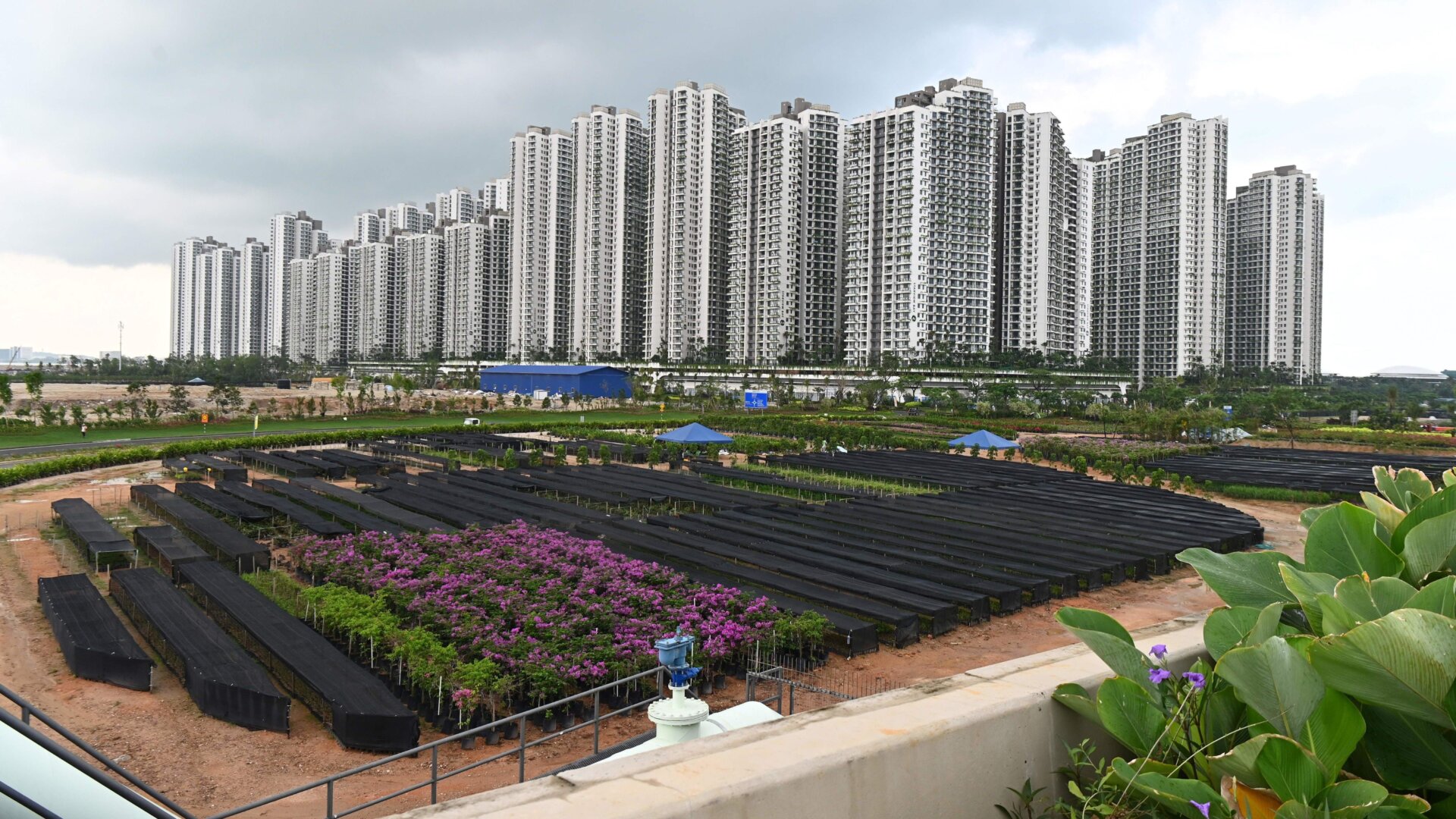 This file photos from April 22, 2019 shows the high-rise apartments in the Forest City housing project in Malaysia’s southern state of Johor Baru.