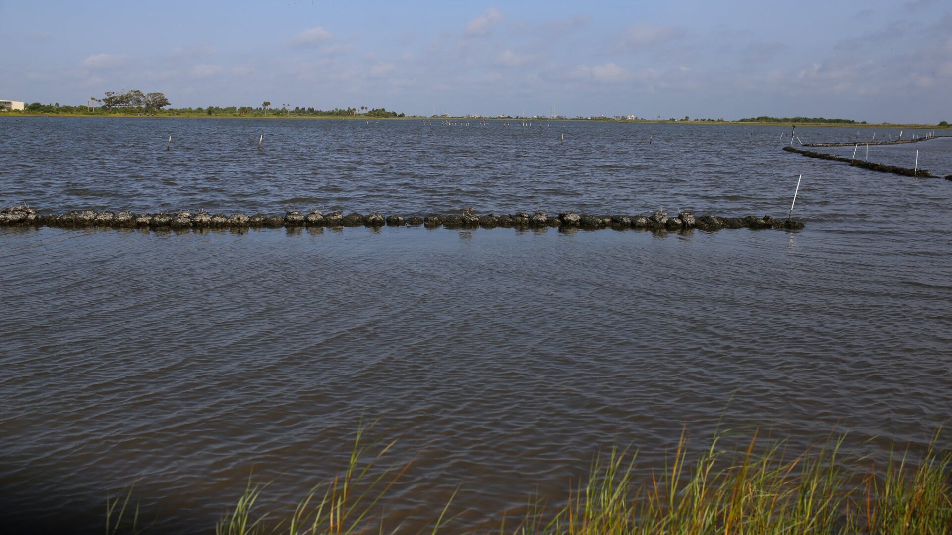 Oyster shells recycled from local restaurants through Galveston Bay Foundation’s Oyster Shell Recycling Program form an oyster reef and provide shoreline protection at the Foundation’s Sweetwater Preserve in Galveston, Texas.