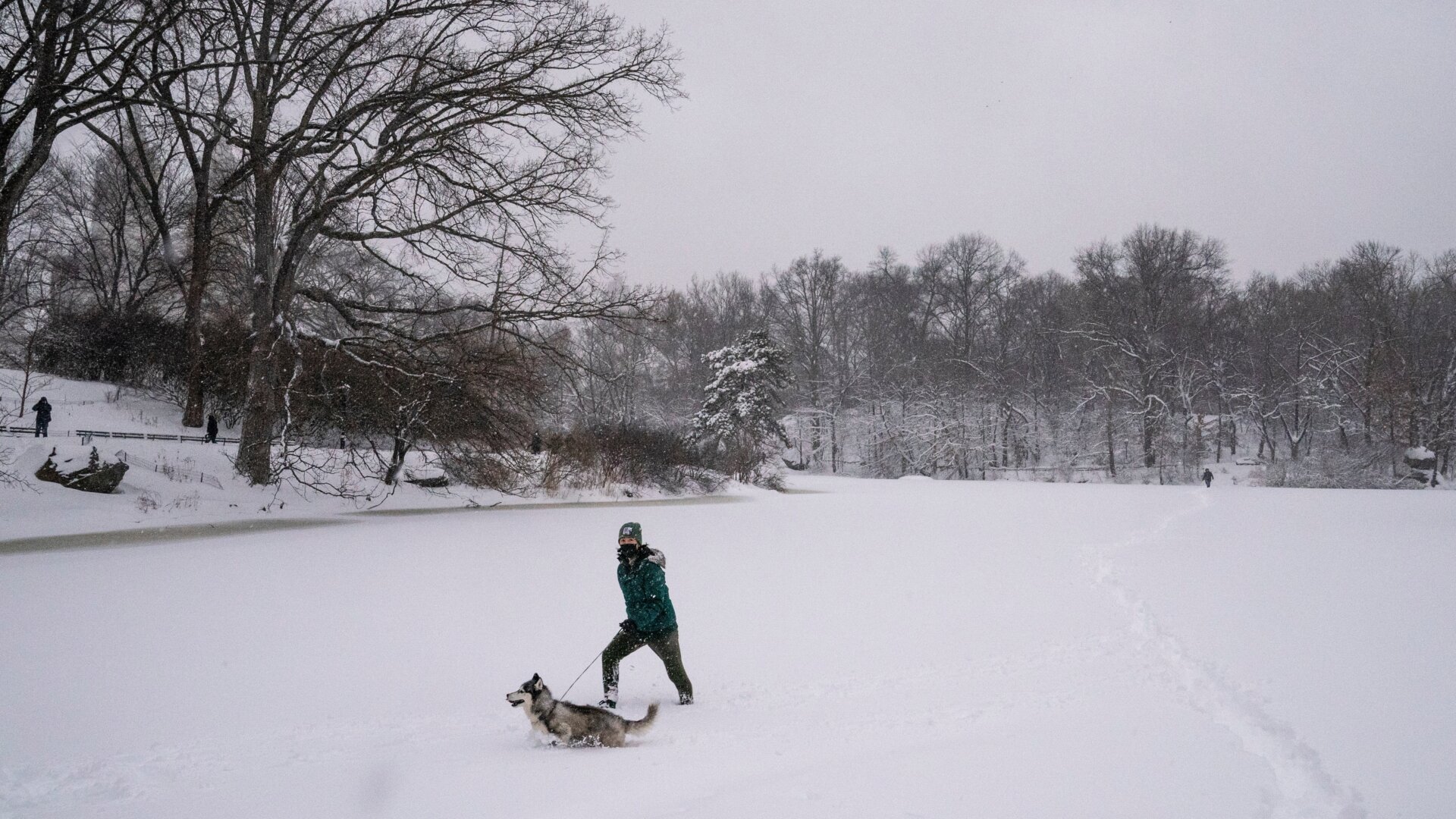 Photo: John Minchillo