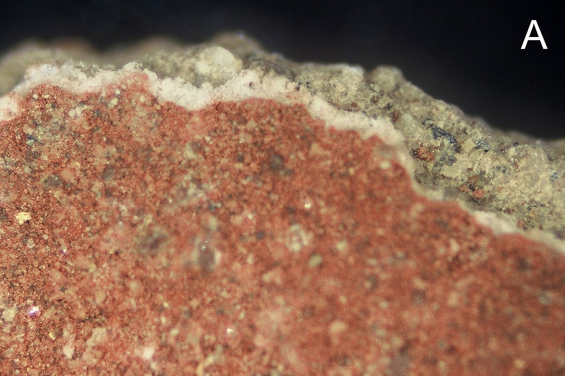 Magnified view of the mud layer, coated with red and white pigment. 