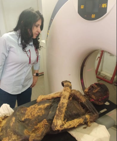 Study co-author Sahar Saleem placing the mummy in the CT scanner.