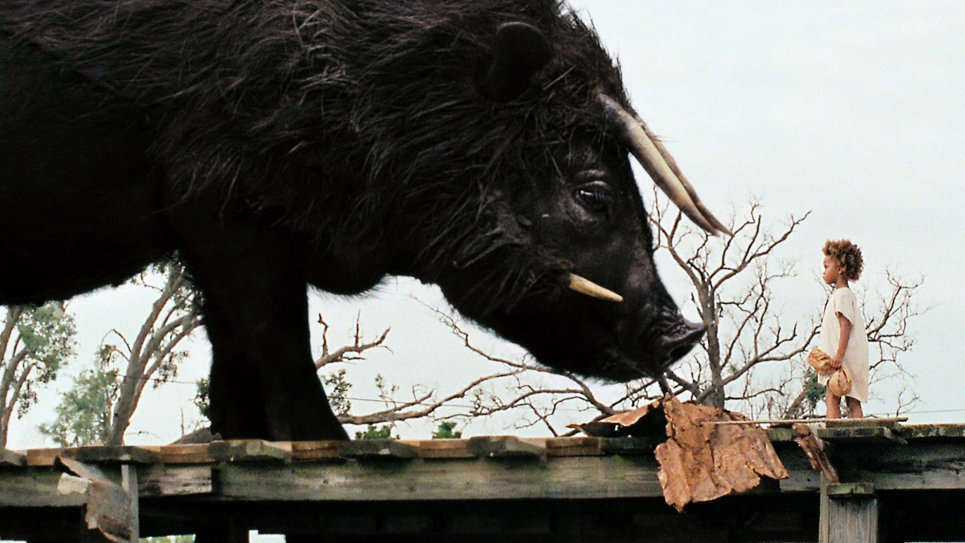 Beasts of the Southern Wild
