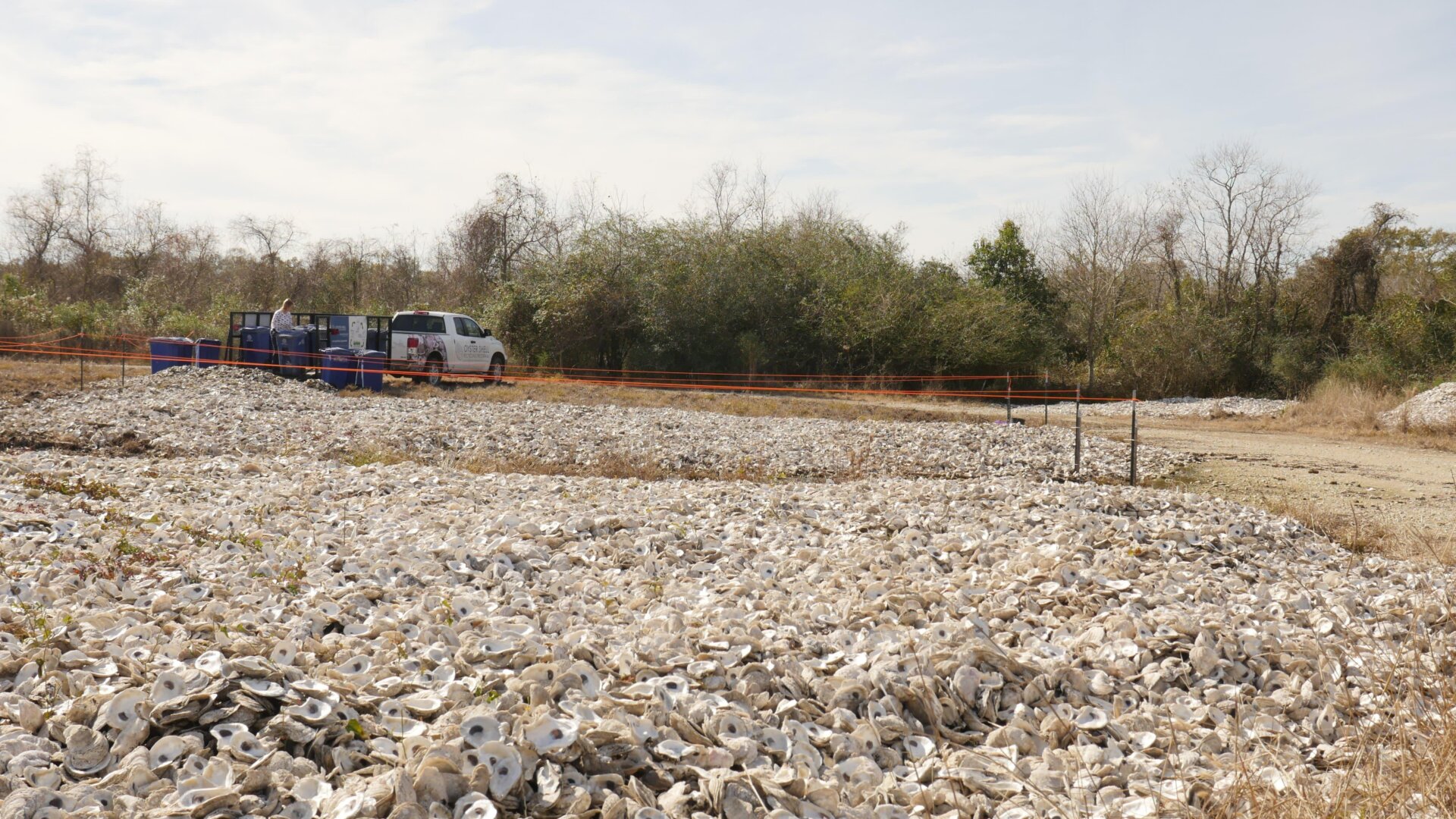Foundation staff at the curing site.