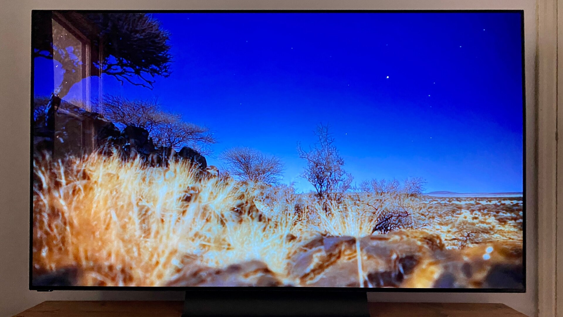 Photo: Catie Keck/Gizmodo