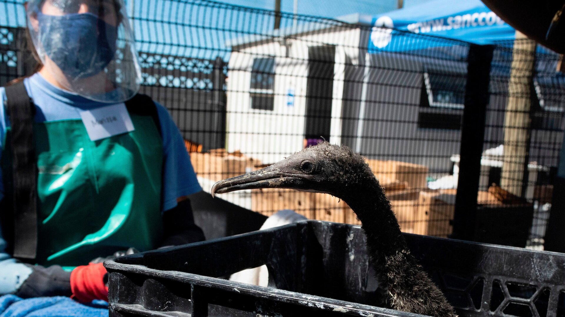 Photo: Rodger Bosch / AFP