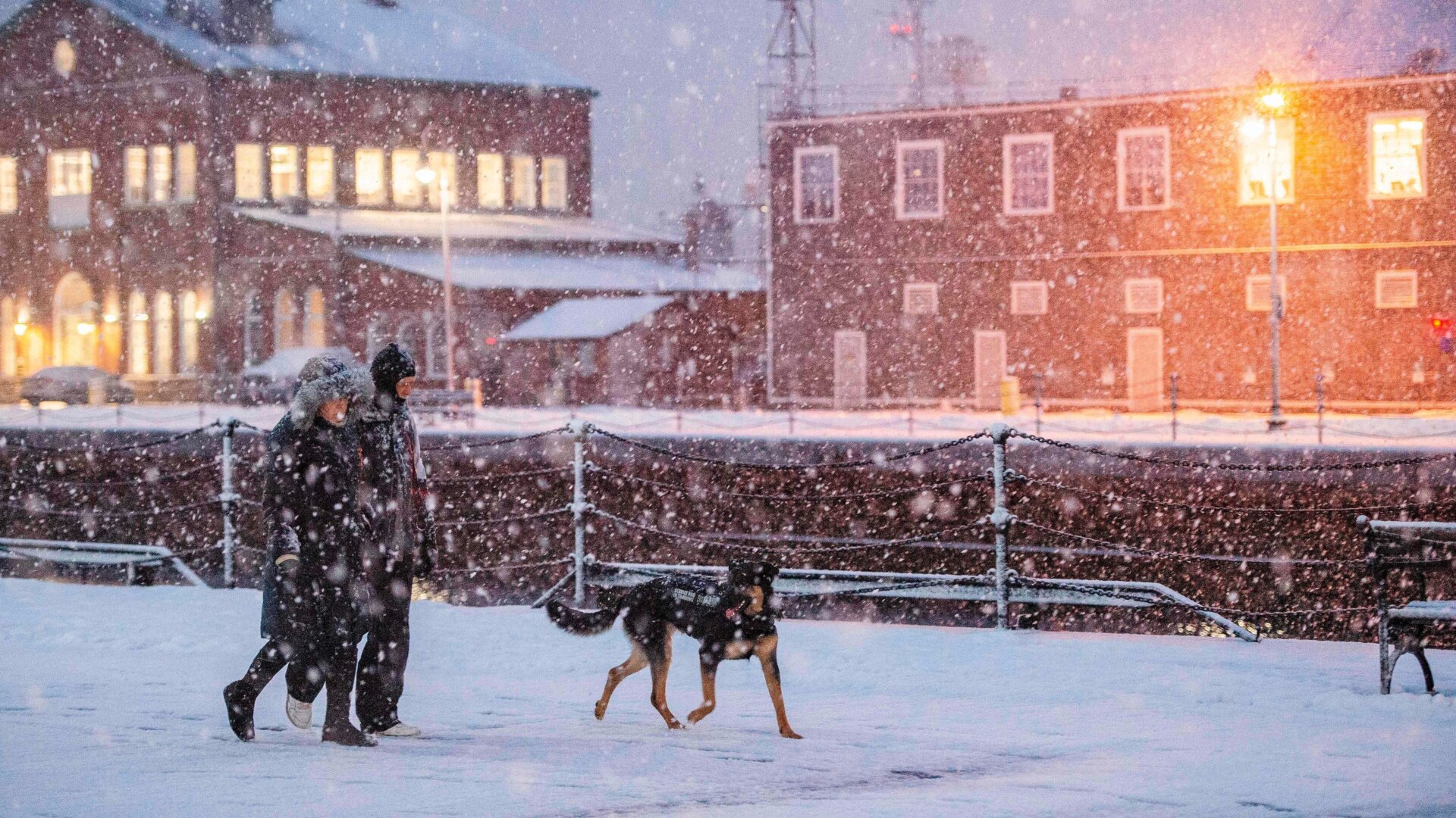 Photo: Jospeh Prezioso/AFP
