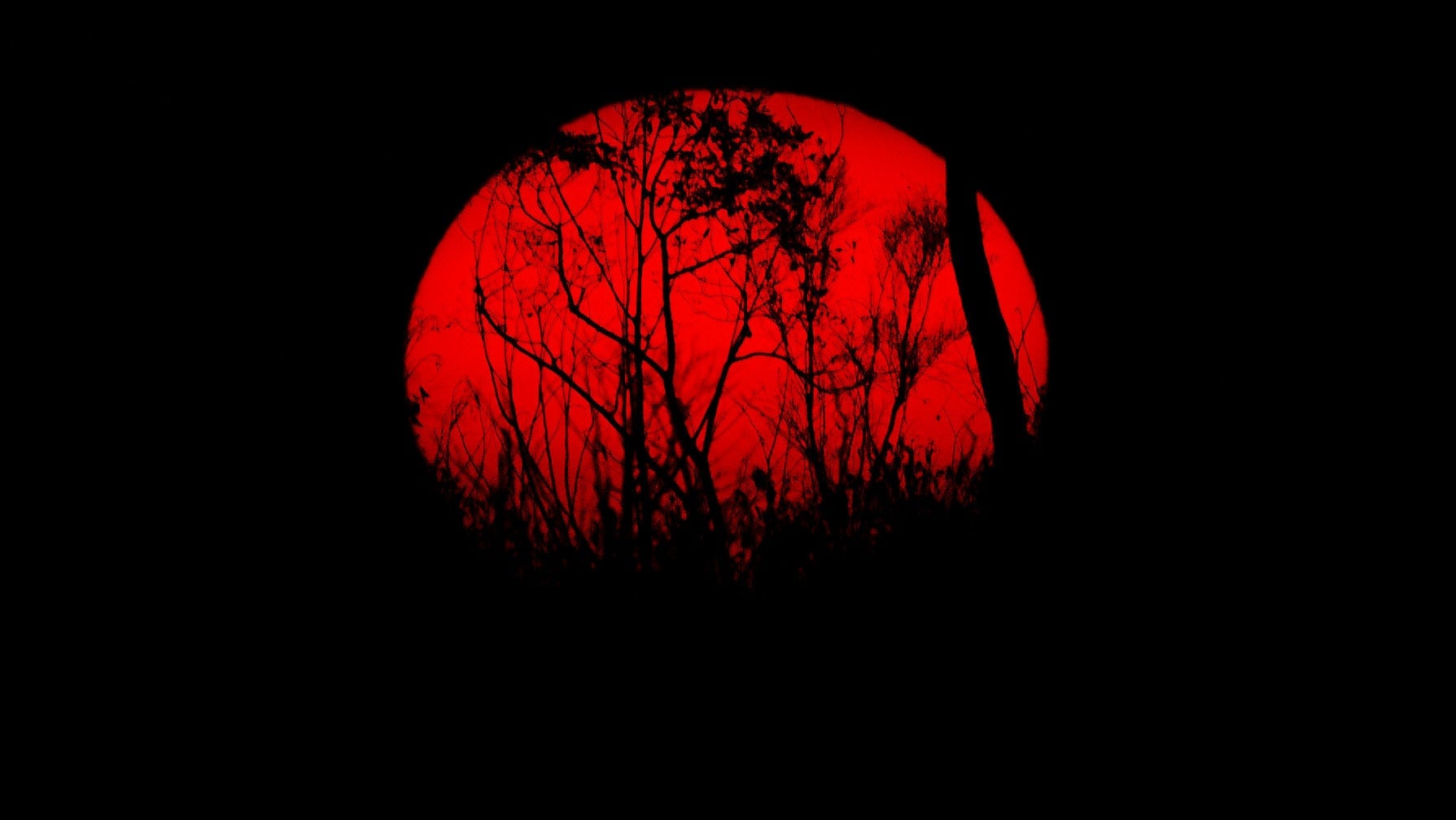 The sun sets behind burnt trees of the Amazon rainforest, south of Porto Velho on Aug. 27, 2019.