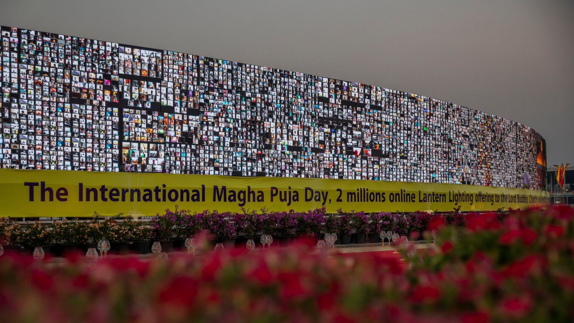 Photo: Lauren DeCicca