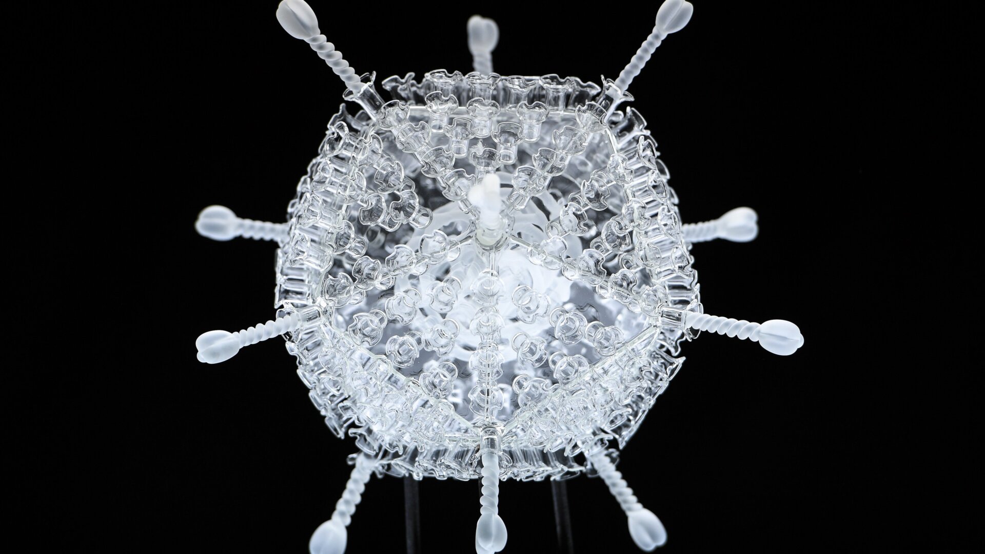 Photo: Finnbarr Webster