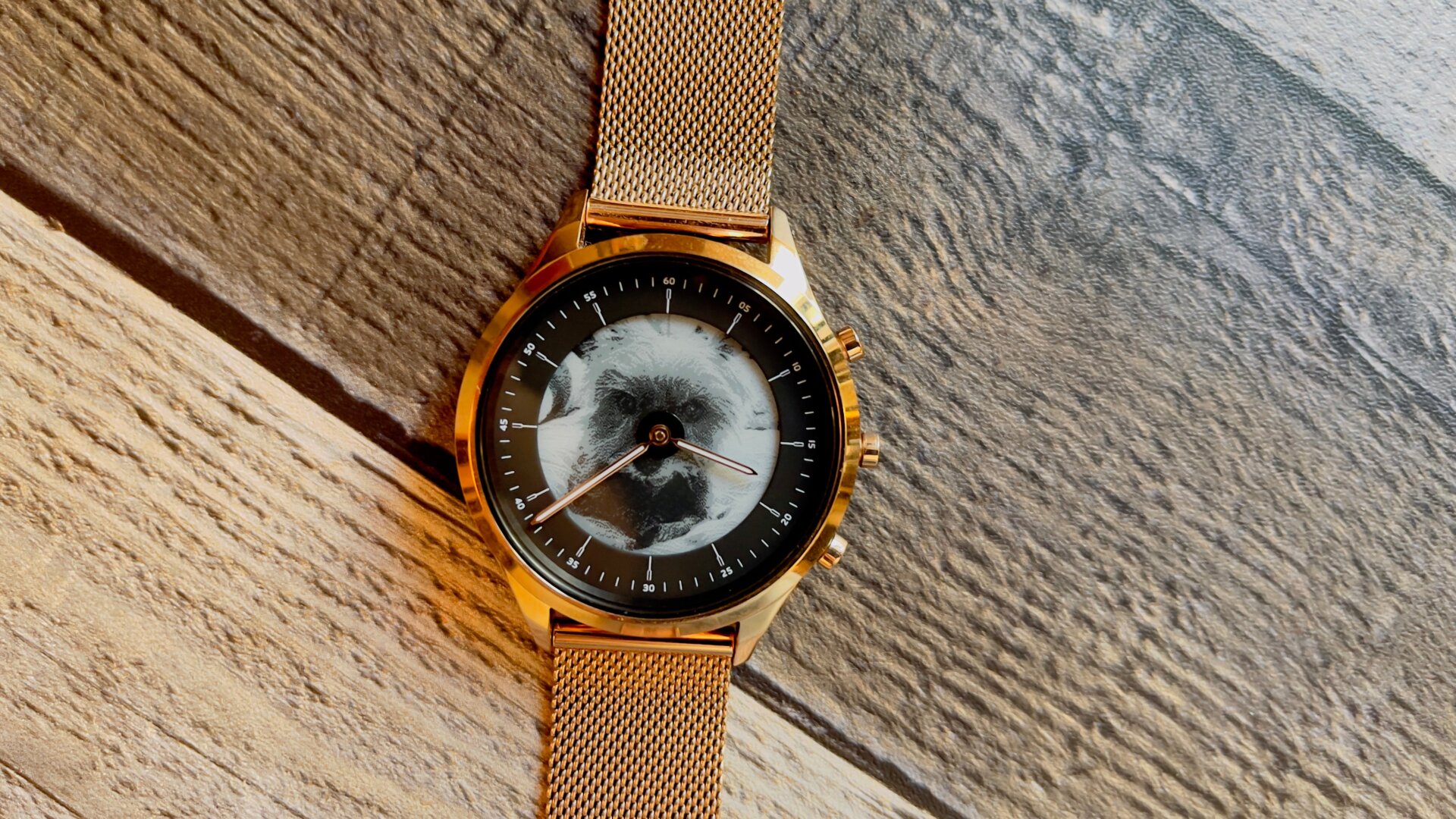 I made my dog Daisy my background. She’s adorable.