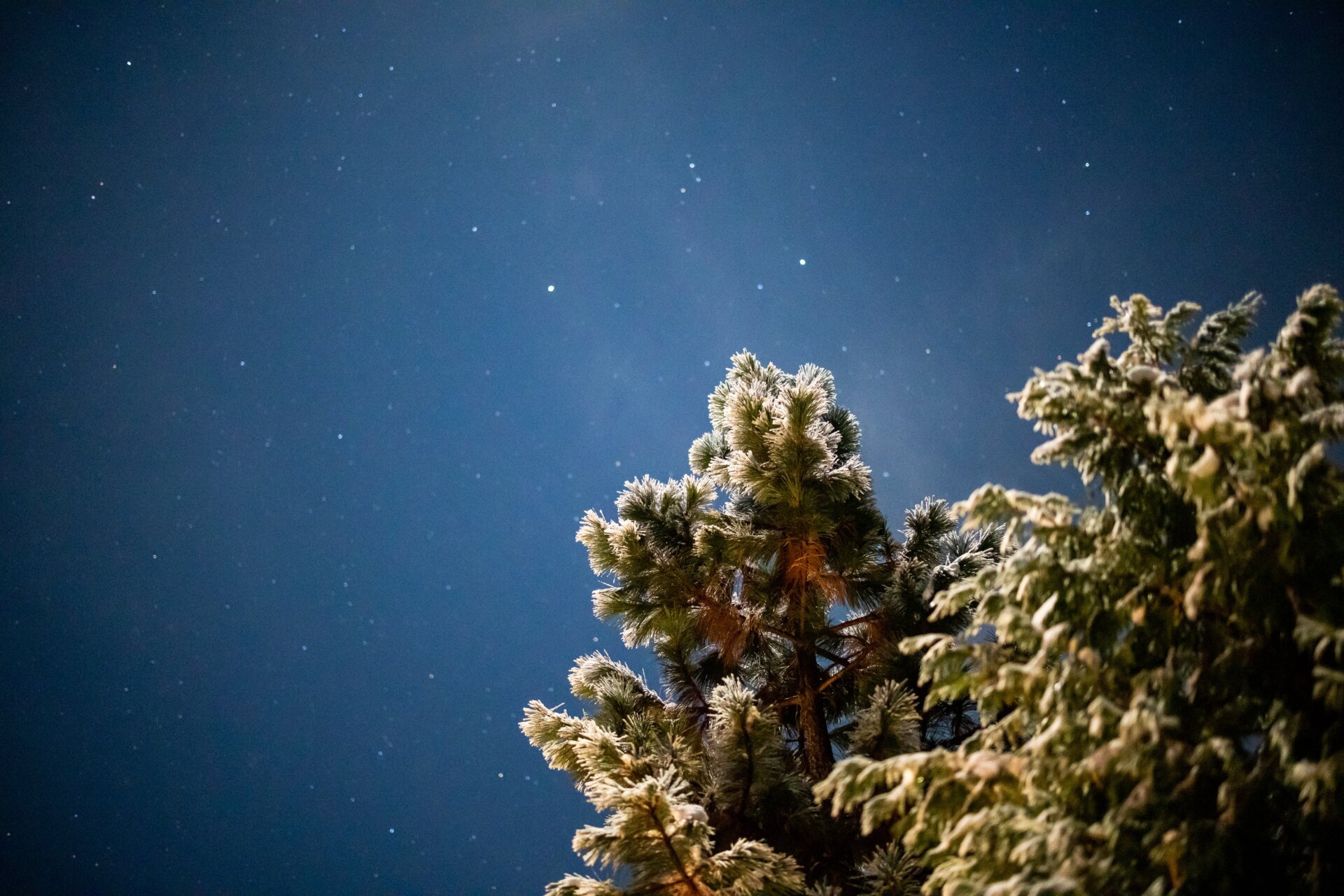 1/8 sec at f/1.2, ISO 12,800