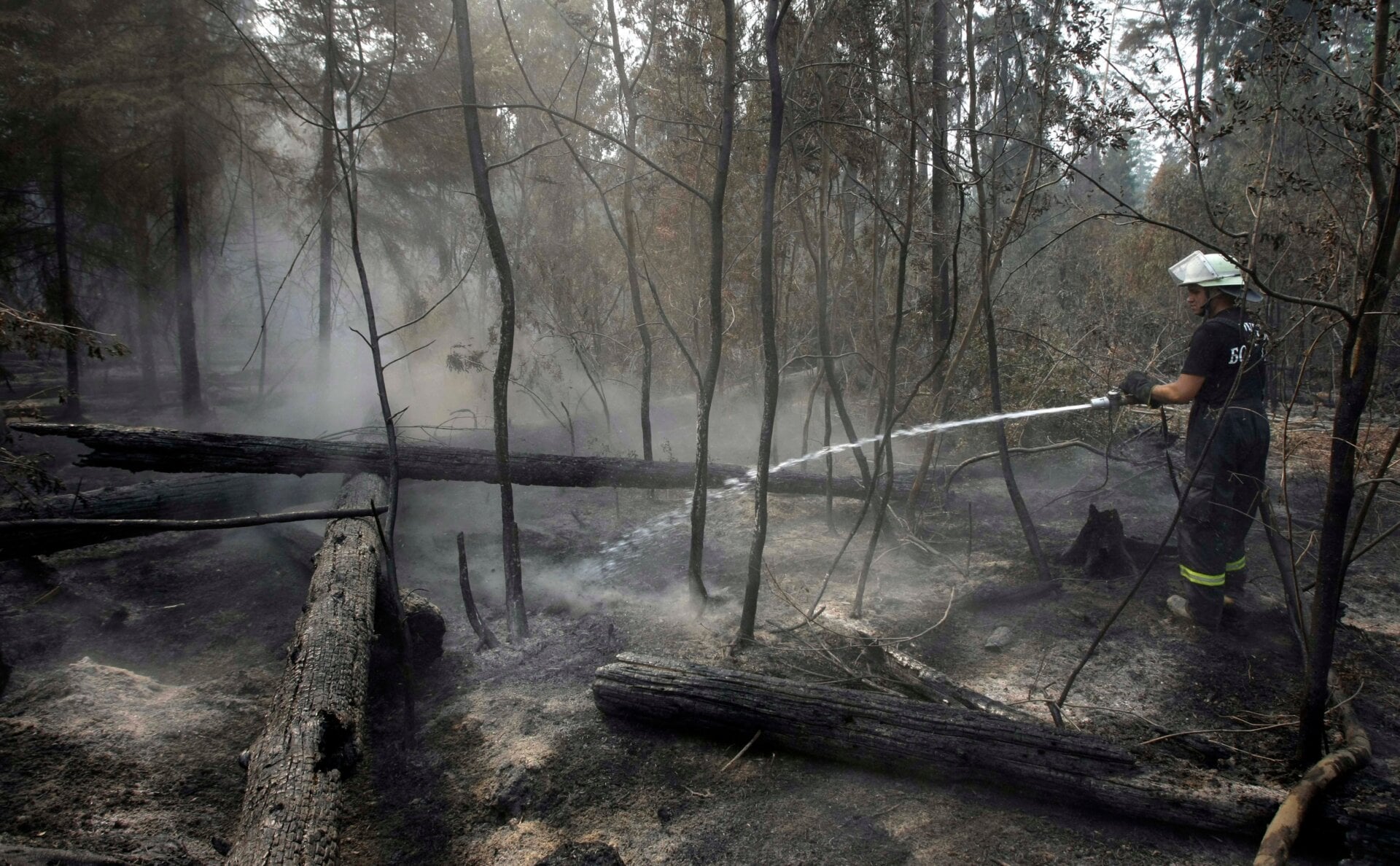 A Bulgarian firefighter hoses water onto smoldering tree trunks in a forest in the Noginsk district on Aug. 10, 2010 to prevent resumption of fire.