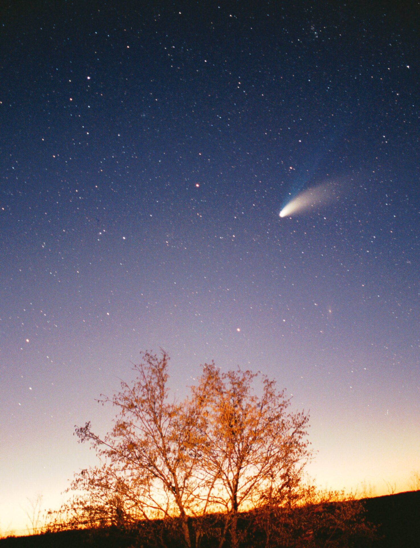 Comet Hale-Bopp, as seen on March 29, 1997.