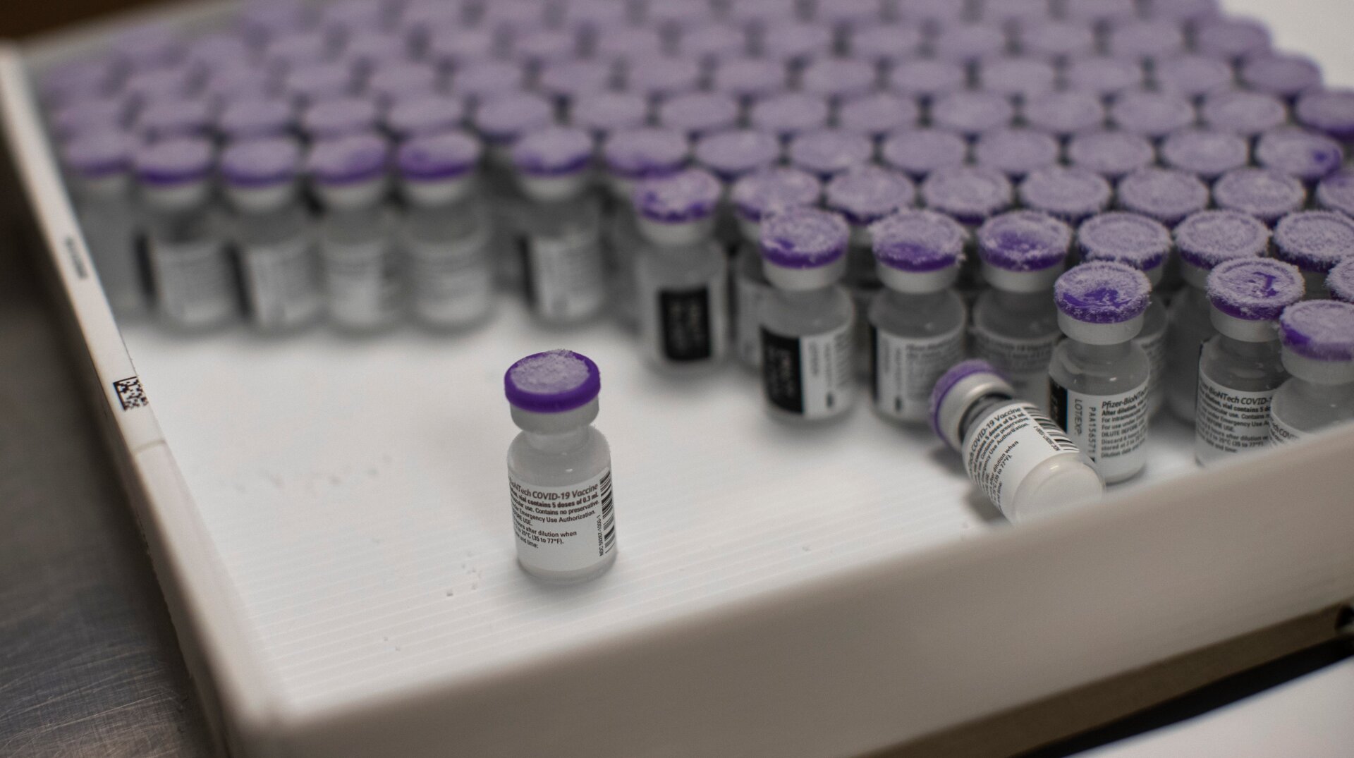 Frozen vials of the Pfizer/BioNTech vaccine being thawed out for use at a hospital in Belgium